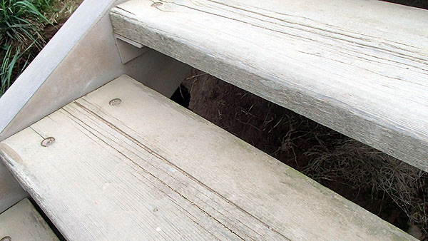 階段の下にも巣穴